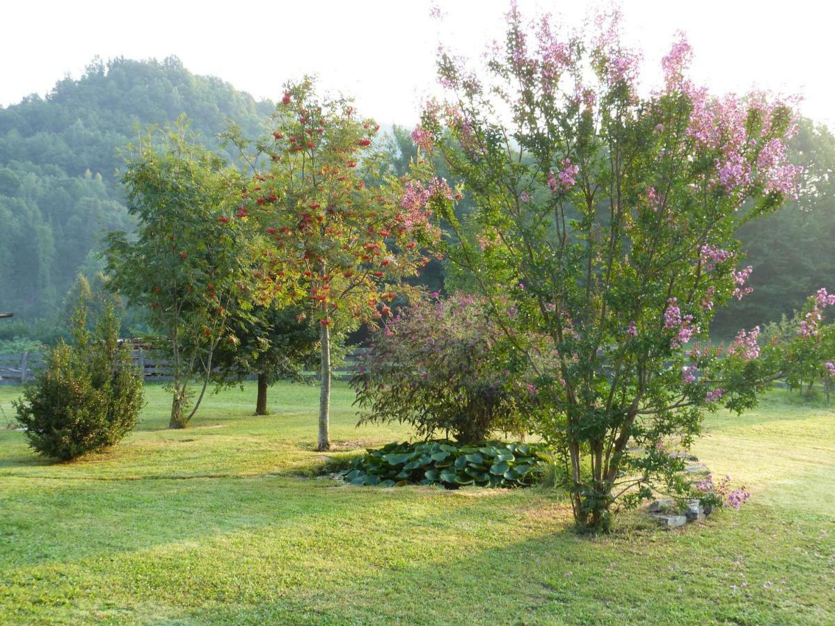 Gaiola B&B Notte Stellata المظهر الخارجي الصورة